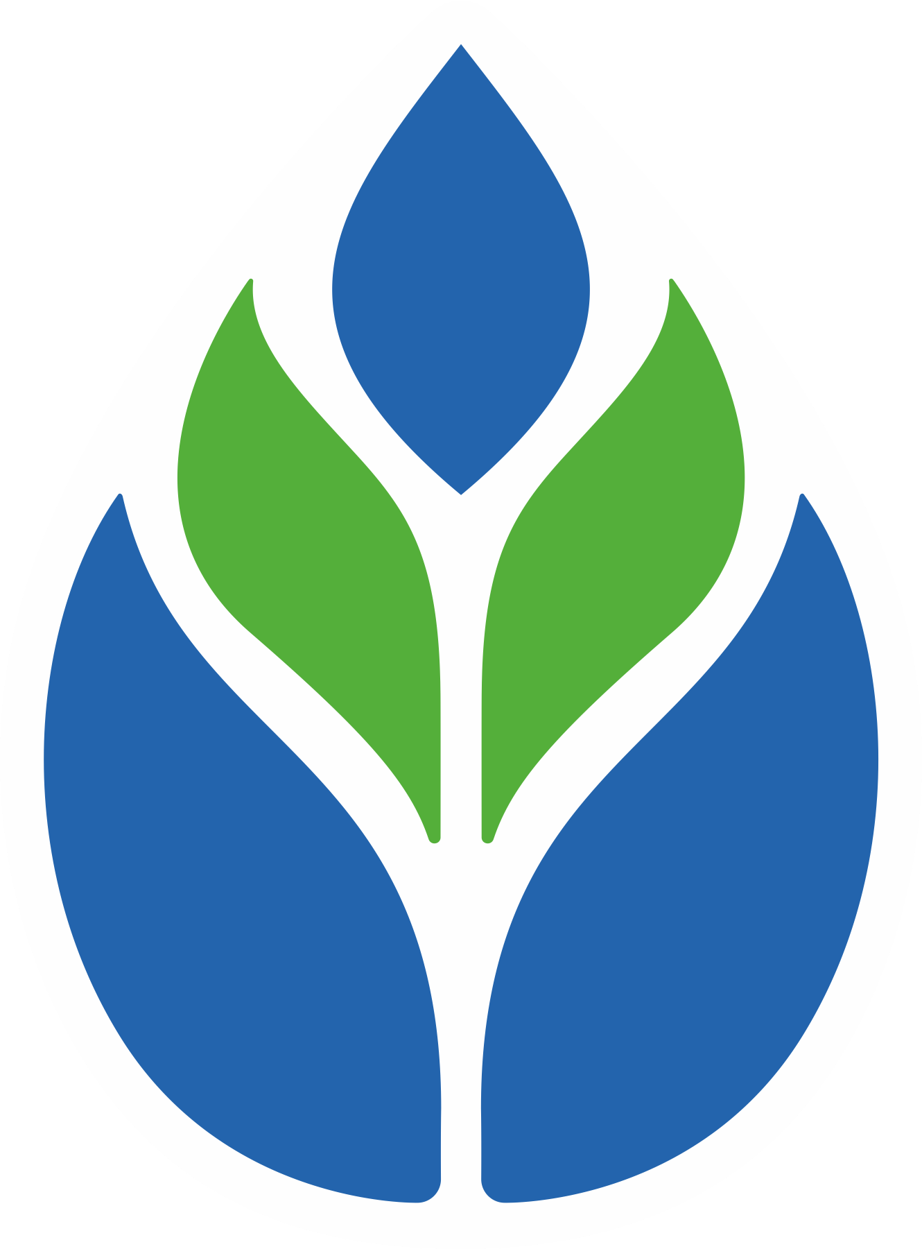 Assam Gramin Vikash  Bank