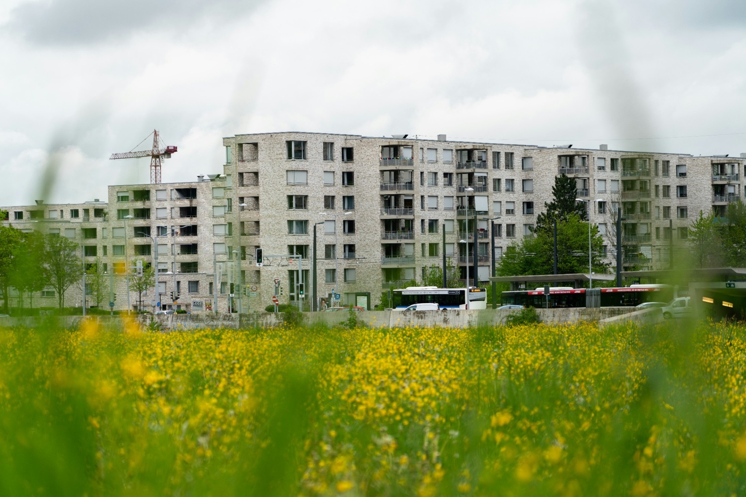 Blog Section Image