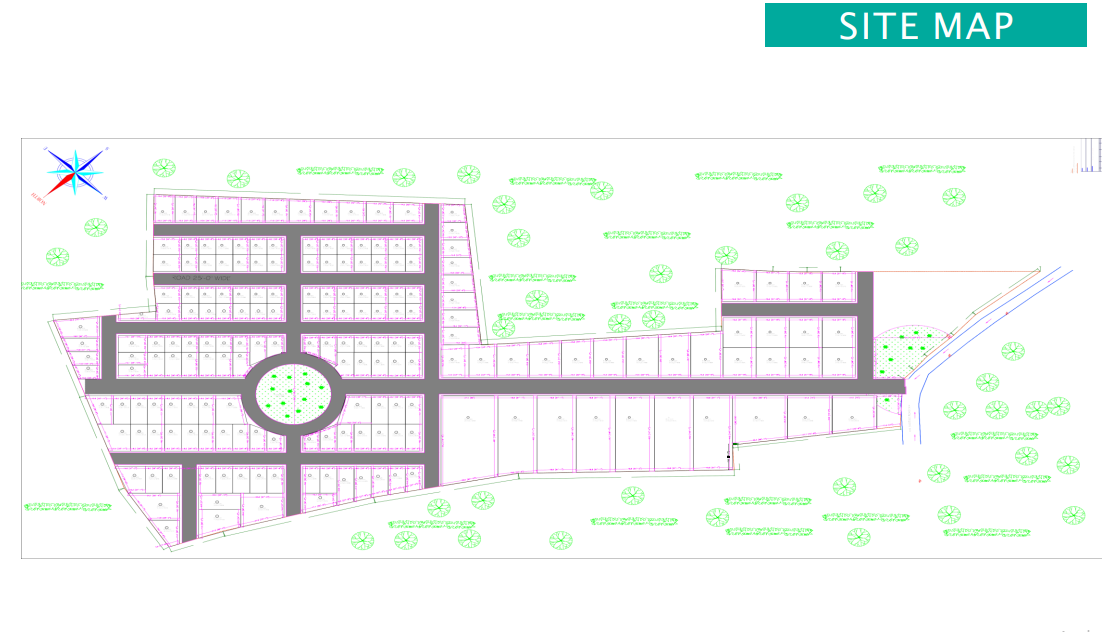 Layout Image
