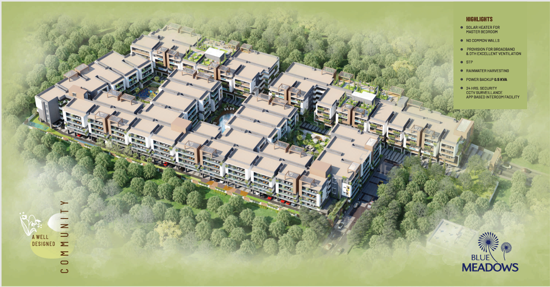 Layout Image
