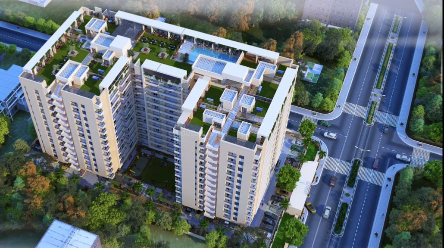 Project Image 11