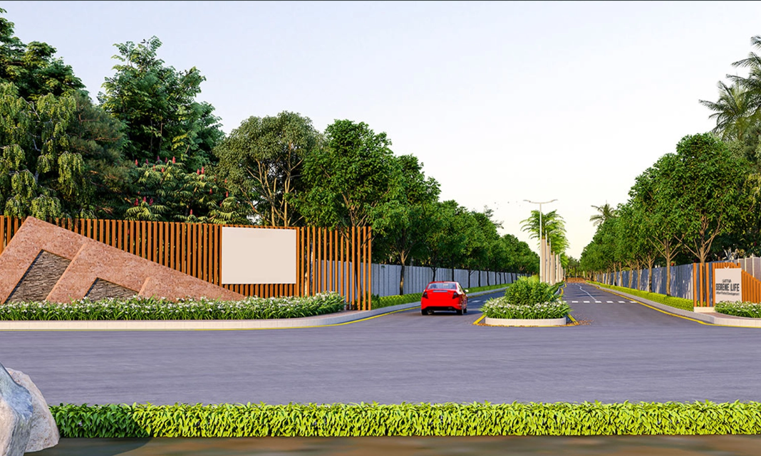 Project Image 12