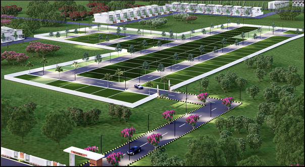 Layout Image