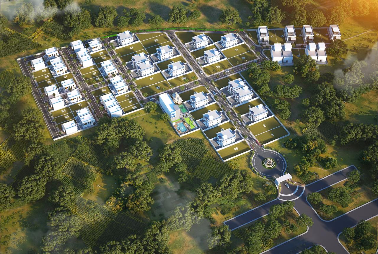 Layout Image