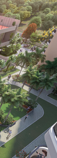 Project Image 5