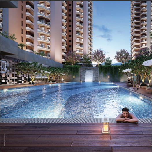 Project Image 11