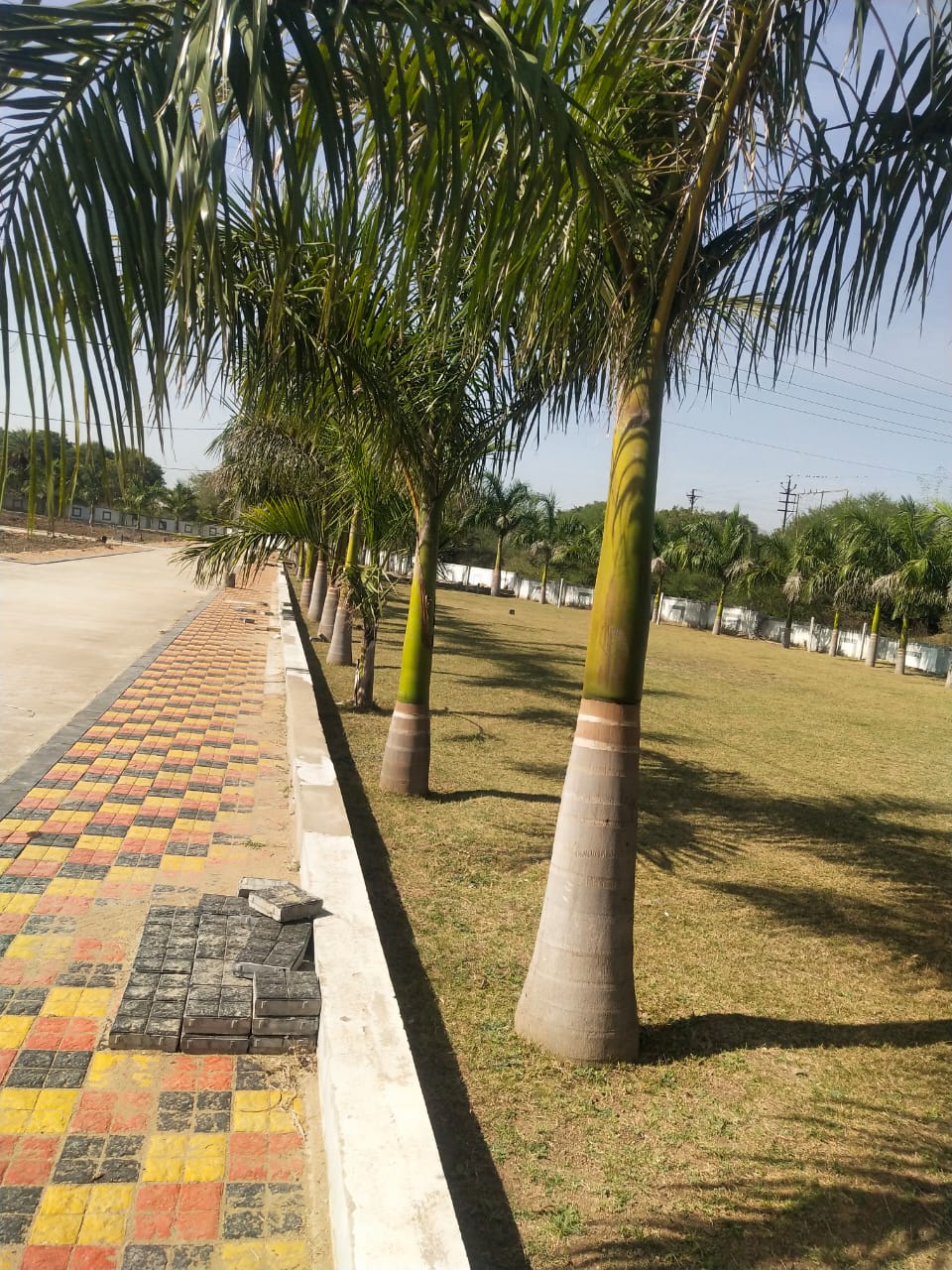 Project Image 12