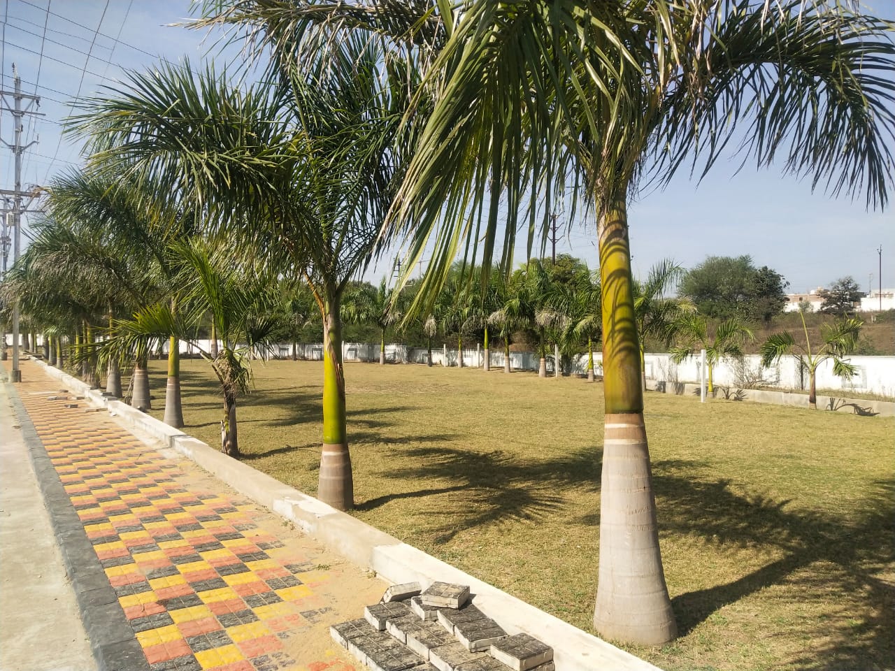 Project Image 11