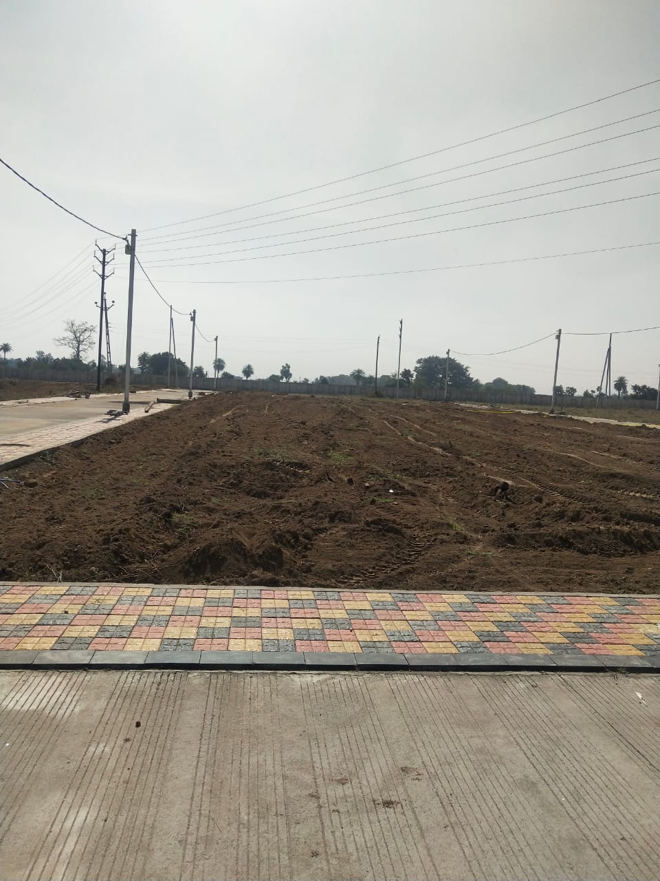 Project Image 14