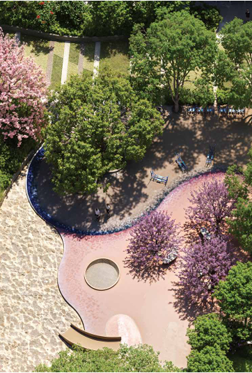 Project Image 12