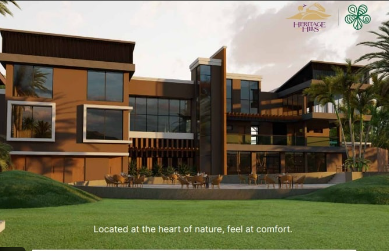 Project Image 4
