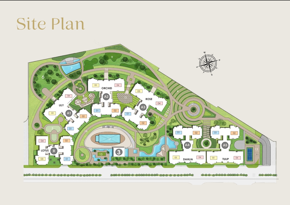 Layout Image