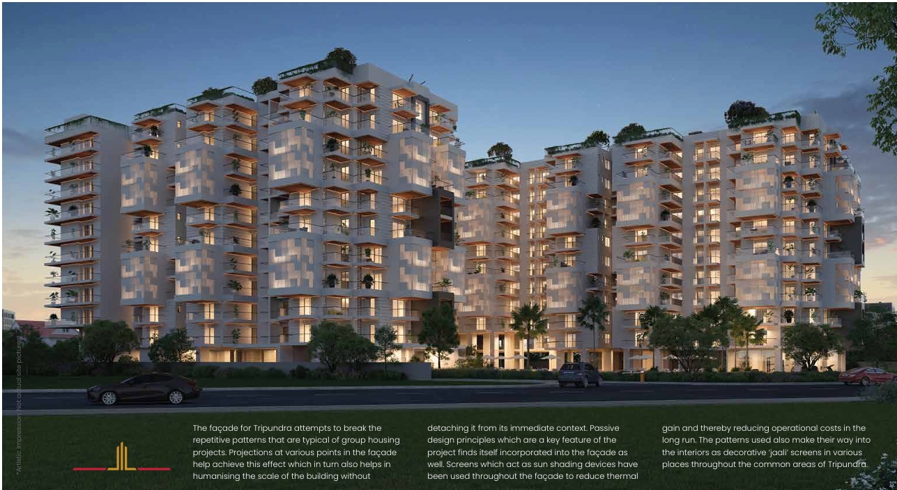 Project Image 5