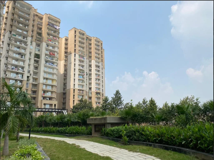 Nirala Greenshire PH-1