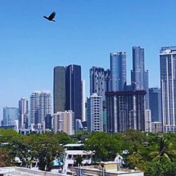 Mumbai’s Luxury Real Estate- Top 5 Property Investments by Indian Cricketers in 2025