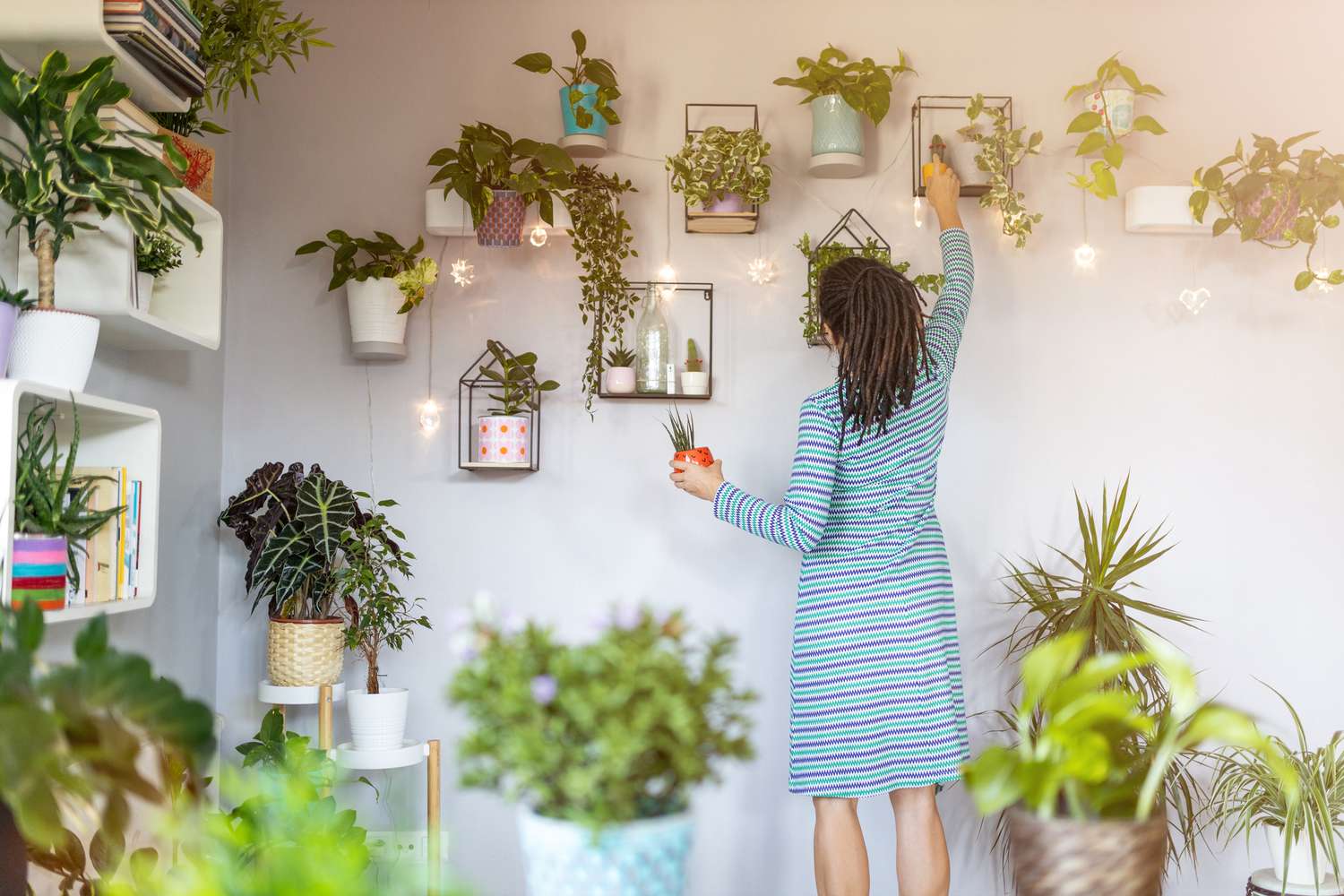10 Indoor Plants That Improve Air Quality & Transform Your Home Energy