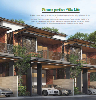 Purva Sparkling Springs