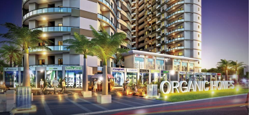 RISE Organic Homes – Phase 1