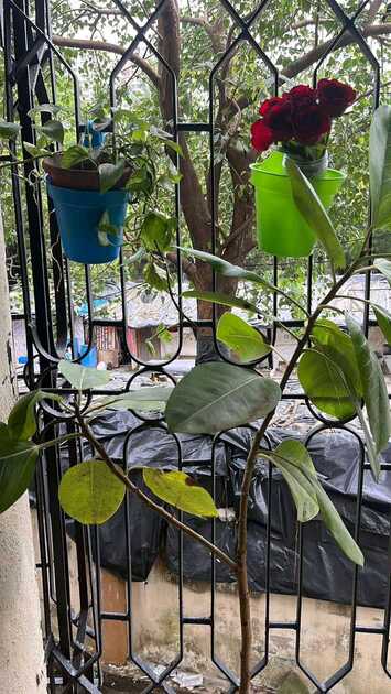 Properties Details 2