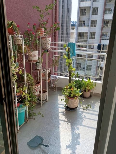 Properties Details 2