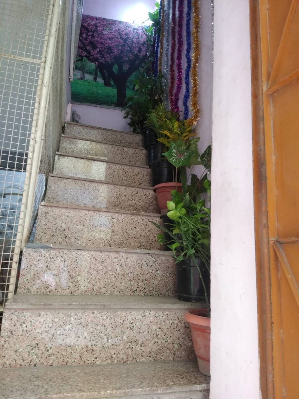 Properties Details 4