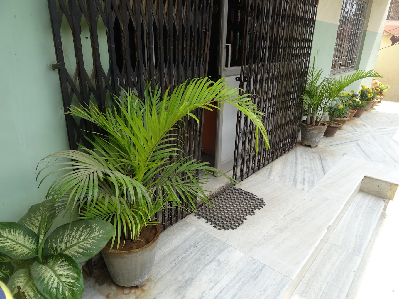 Properties Details 1