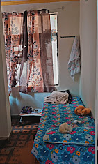 Properties Details 6