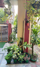 Properties Details 4