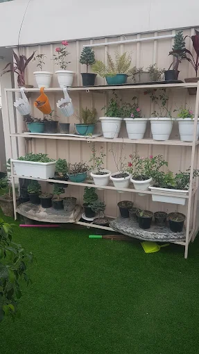 Properties Details 2