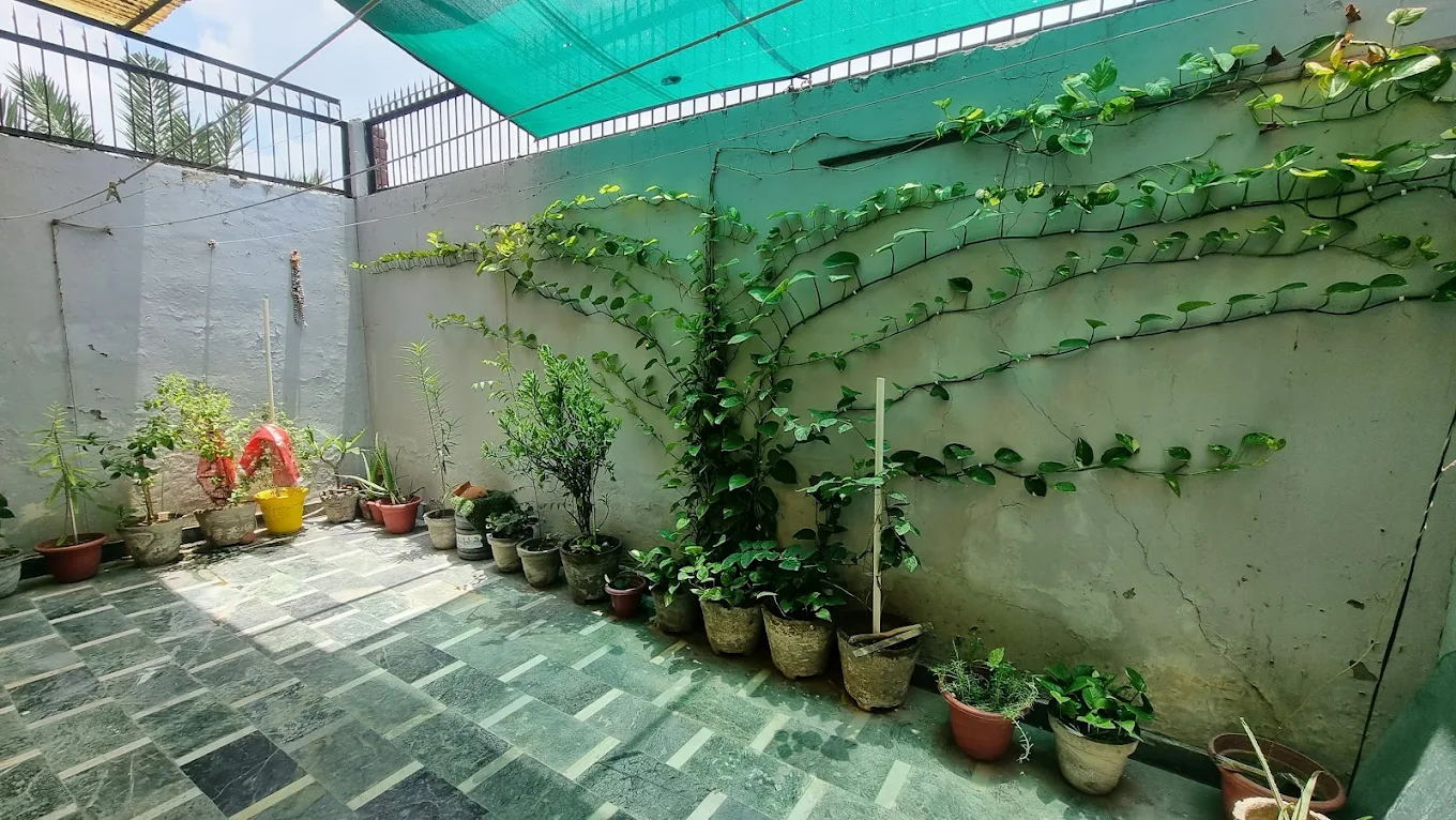 Properties Details 3