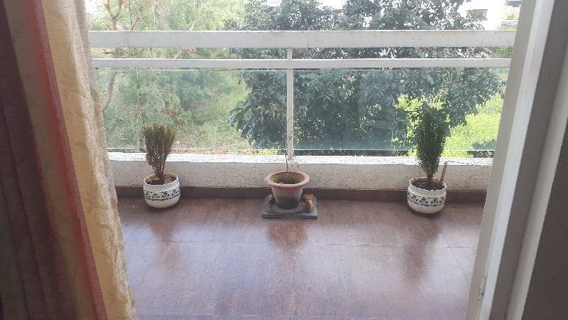 Properties Details 3