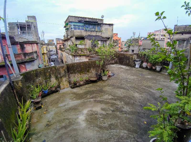 Properties Details 1