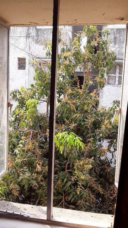 Properties Details 2