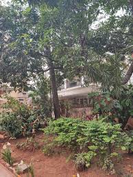 Properties Details 1
