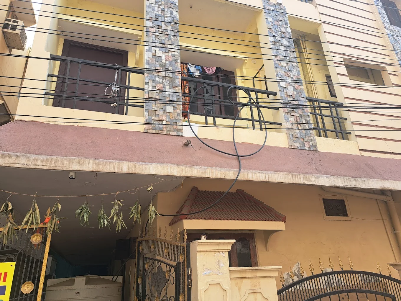 Image 5