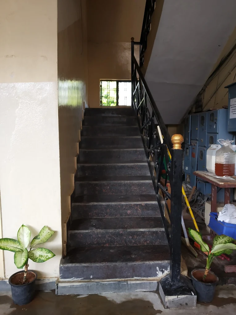 Properties Details 3