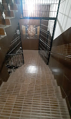 Properties Details 2