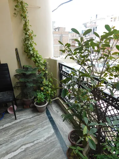 Properties Details 1