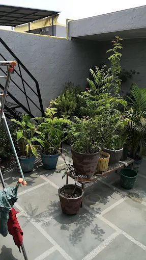 Properties Details 3