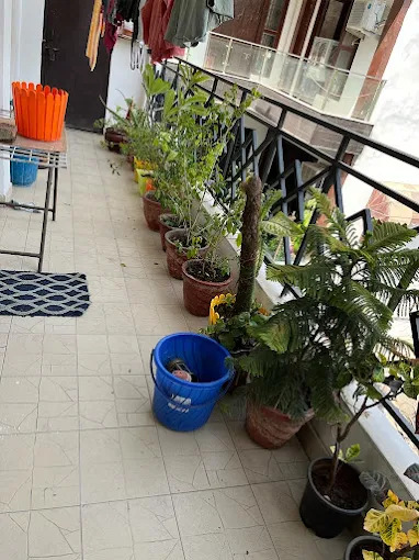 Properties Details 2