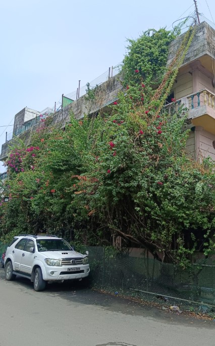 Properties Details 3