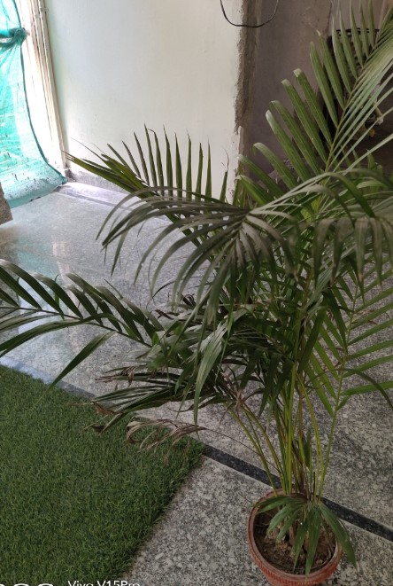 Properties Details 4