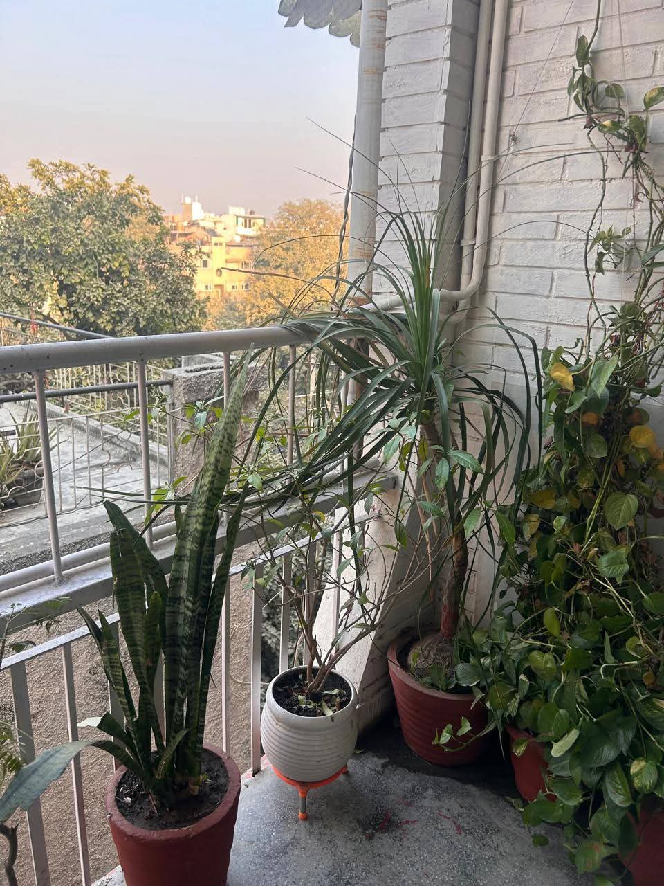 Properties Details 4