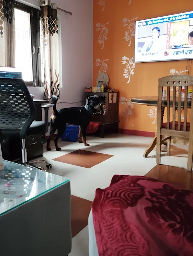 Properties Details 1