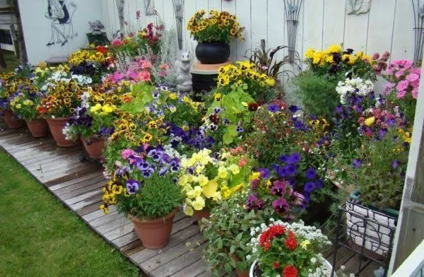 Properties Details 2