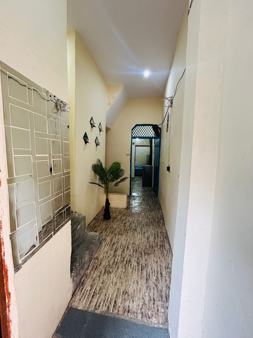 Properties Details 1