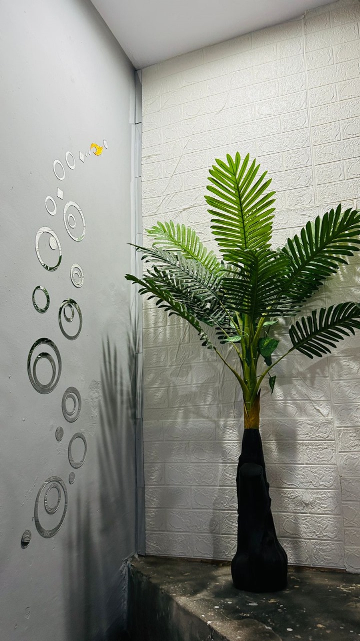 Properties Details 7