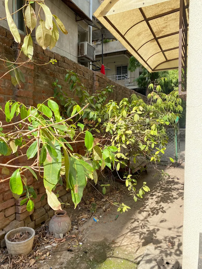 Properties Details 4