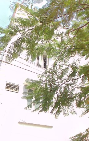 Properties Details 2