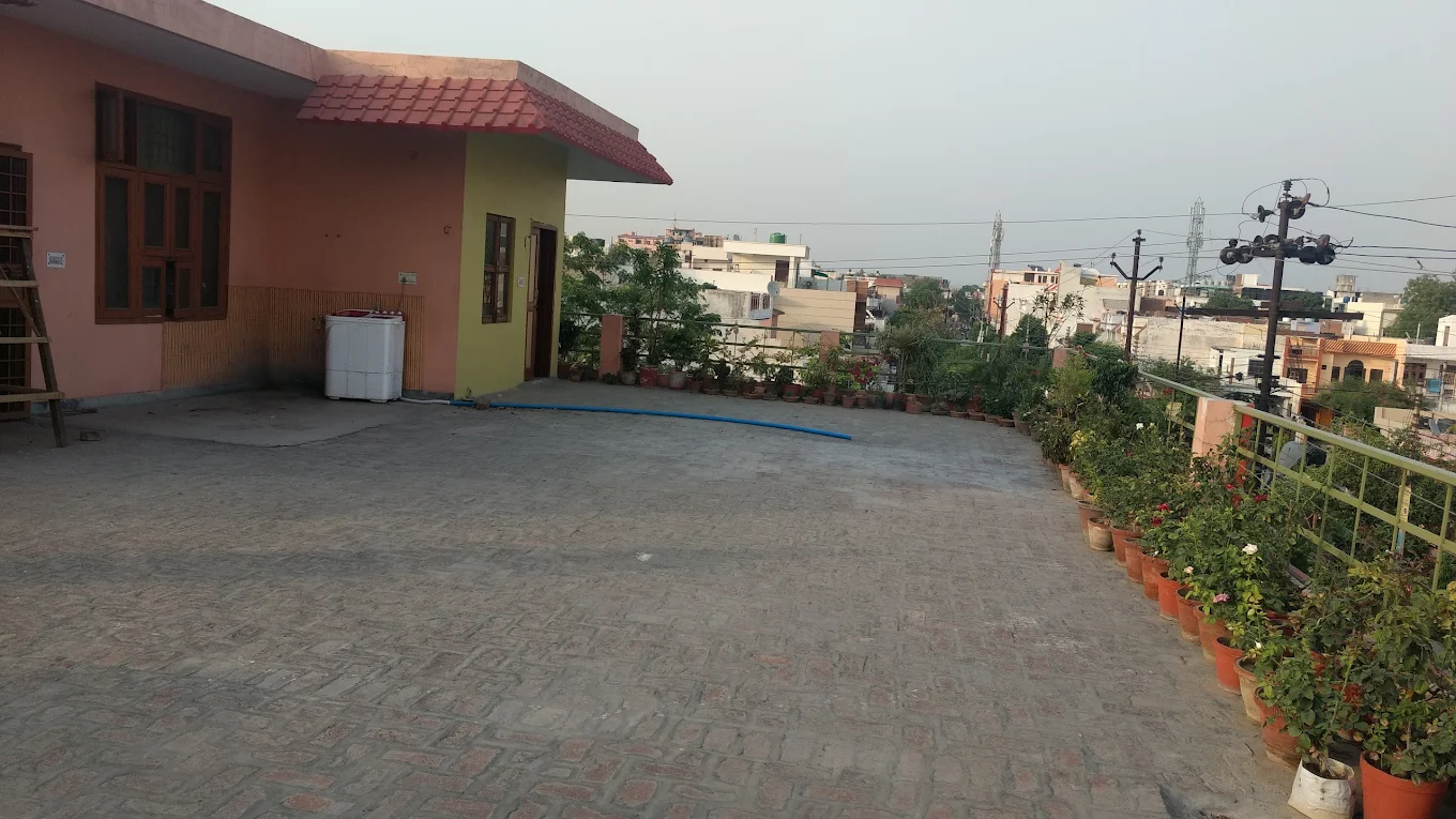 Image 7
